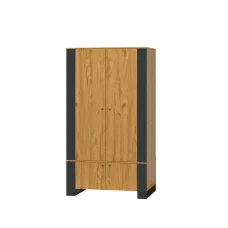 Wardrobe 4D Old Wood